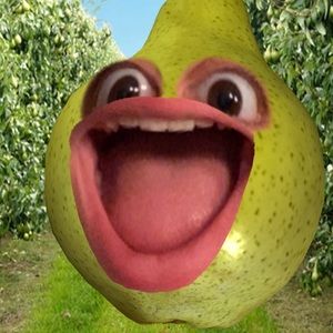 Meet your Posher, Kirsten